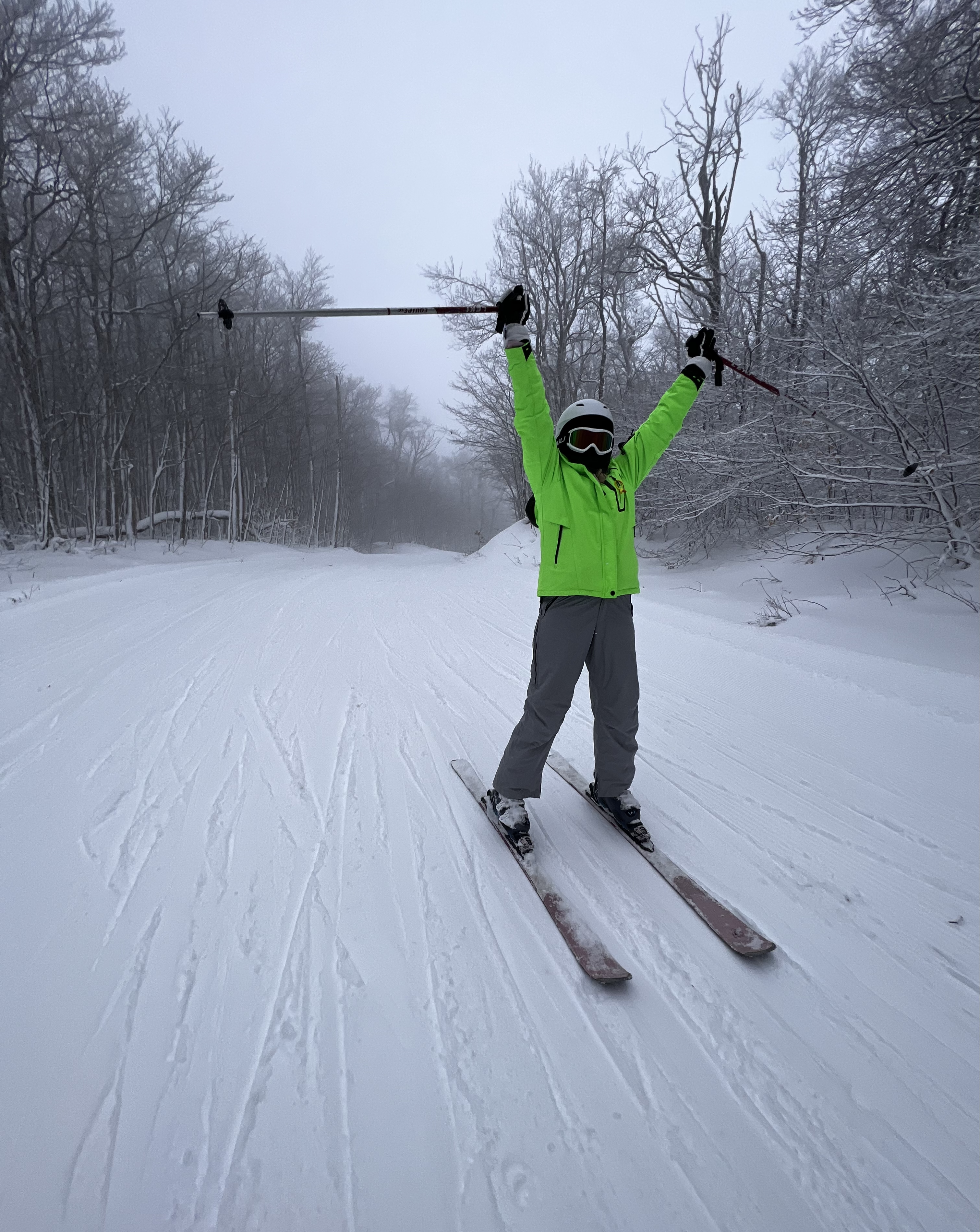 Travel for Skiing